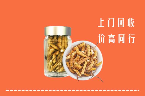 凌海市回收冬虫夏草